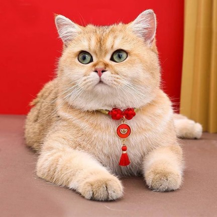 Eco-friendly cotton classic ribbon pet necklace collar