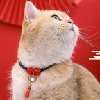 Eco-friendly cotton classic ribbon pet necklace collar