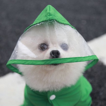Cat and Dog Waterproof Jumpsuit Pet Raincoat