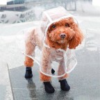 High-quality transparent pet raincoat