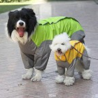 High Quality Four-legged Full Body Pet Raincoat