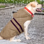 Winter Waterproof Sustainable Pet Raincoat