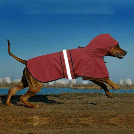 Double-layer hooded waterproof dog raincoat