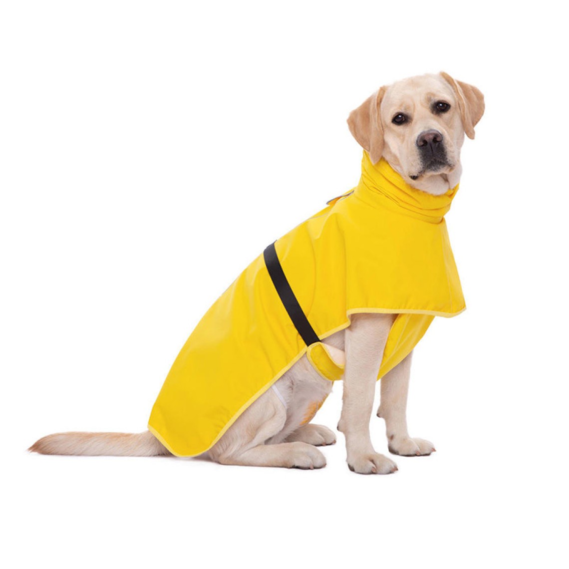 Outdoor waterproof pet raincoat