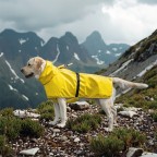 Outdoor waterproof pet raincoat