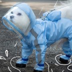 Fashionable Summer Reflective Pet Raincoat Set