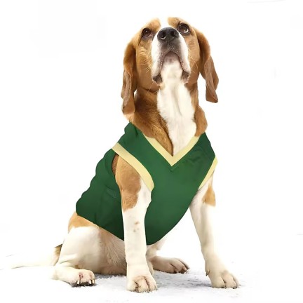 Green soft warm pet sweater