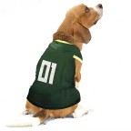 Green soft warm pet sweater