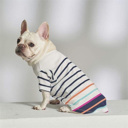 Printed Gradient Stripe Pet T-Shirt