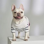 Printed Gradient Stripe Pet T-Shirt