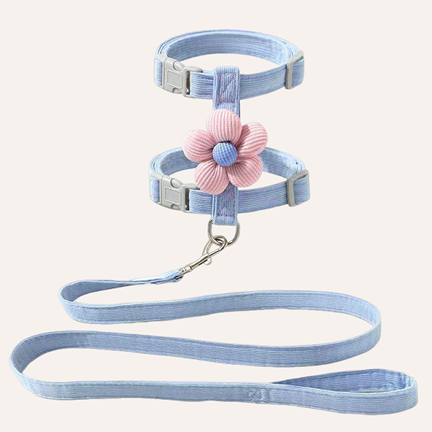 Leash
